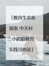 教育生态新探索 中关村三小跨龄教育实践引热议