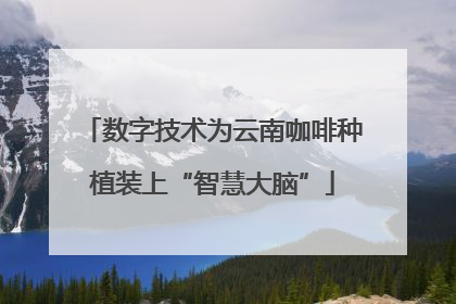 数字技术为云南咖啡种植装上“智慧大脑”