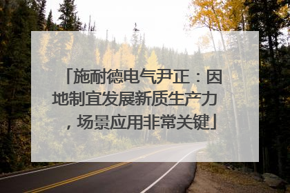 施耐德电气尹正：因地制宜发展新质生产力，场景应用非常关键