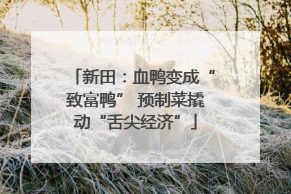 新田：血鸭变成“致富鸭” 预制菜撬动“舌尖经济”