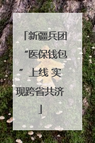 新疆兵团“医保钱包”上线 实现跨省共济