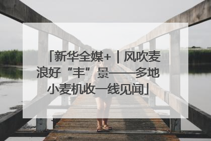 新华全媒+｜风吹麦浪好“丰”景——多地小麦机收一线见闻