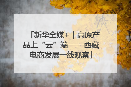 新华全媒+｜高原产品上“云”端——西藏电商发展一线观察