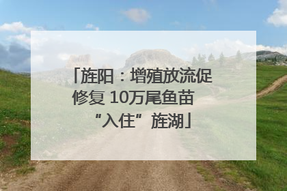 旌阳：增殖放流促修复 10万尾鱼苗“入住”旌湖