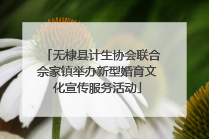 无棣县计生协会联合佘家镇举办新型婚育文化宣传服务活动