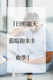 日照露天蓝莓迎来丰收季