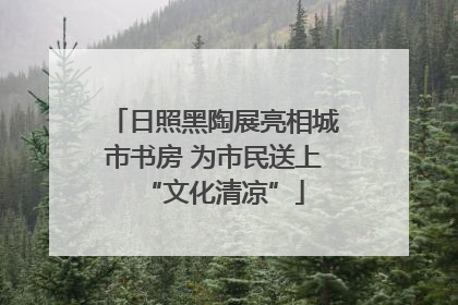 日照黑陶展亮相城市书房 为市民送上“文化清凉”