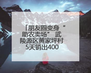 朋友圈变身“助农卖场” 武陵源区黄家坪村5天销出4000斤包菜