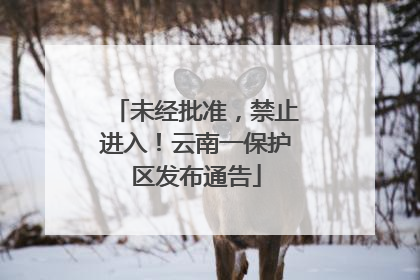 未经批准，禁止进入！云南一保护区发布通告