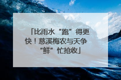 比雨水“跑”得更快！慈溪梅农与天争“鲜”忙抢收