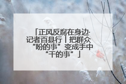 正风反腐在身边·记者百县行丨把群众“盼的事”变成手中“干的事”