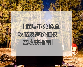 武陵币兑换全攻略及高价值权益收获指南