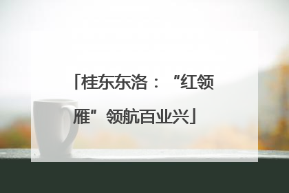 桂东东洛：“红领雁”领航百业兴