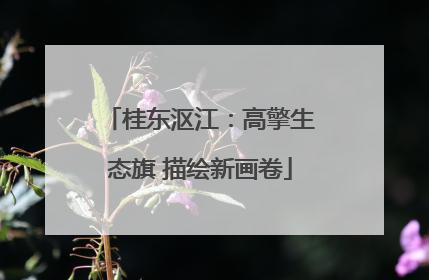 桂东沤江：高擎生态旗 描绘新画卷