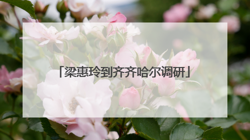 梁惠玲到齐齐哈尔调研
