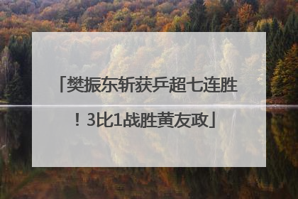 樊振东斩获乒超七连胜！3比1战胜黄友政