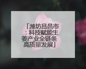 潍坊昌邑市：科技赋能生姜产业全链条高质量发展