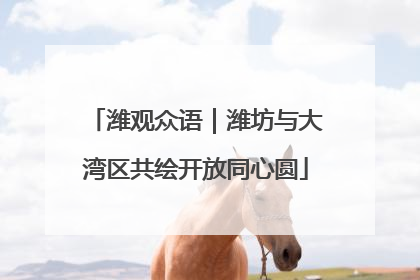 潍观众语｜潍坊与大湾区共绘开放同心圆