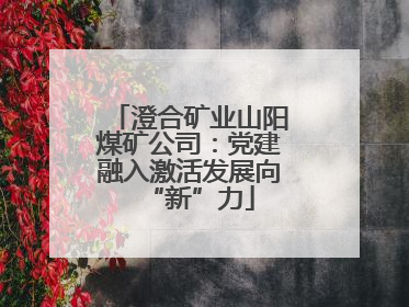 澄合矿业山阳煤矿公司：党建融入激活发展向“新”力