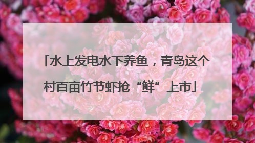 水上发电水下养鱼，青岛这个村百亩竹节虾抢“鲜”上市