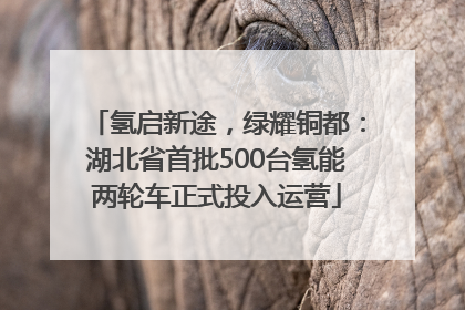 氢启新途，绿耀铜都：湖北省首批500台氢能两轮车正式投入运营