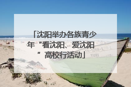 沈阳举办各族青少年“看沈阳、爱沈阳”高校行活动