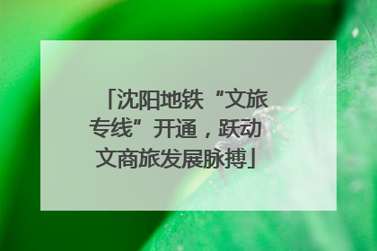 沈阳地铁“文旅专线”开通，跃动文商旅发展脉搏