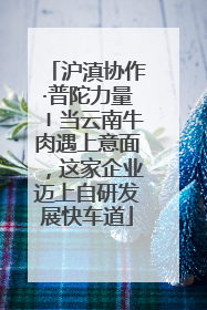 沪滇协作·普陀力量〡当云南牛肉遇上意面，这家企业迈上自研发展快车道