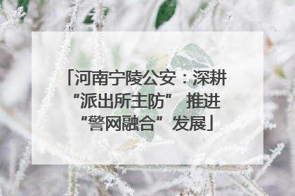 河南宁陵公安：深耕“派出所主防” 推进“警网融合”发展