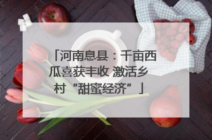河南息县：千亩西瓜喜获丰收 激活乡村“甜蜜经济”