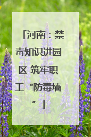 河南：禁毒知识进园区 筑牢职工“防毒墙”