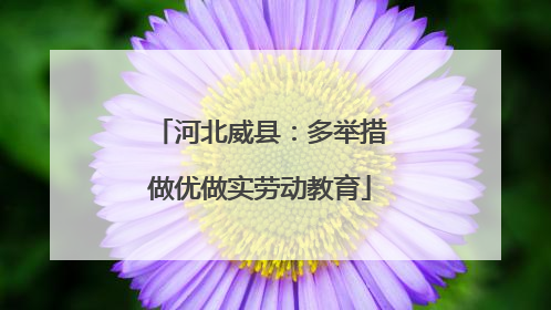 河北威县：多举措做优做实劳动教育