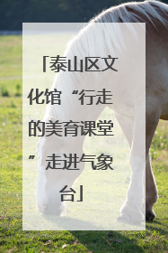 泰山区文化馆“行走的美育课堂”走进气象台