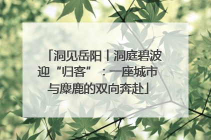 洞见岳阳丨洞庭碧波迎“归客”：一座城市与麋鹿的双向奔赴