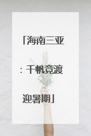 海南三亚：千帆竞渡迎暑期