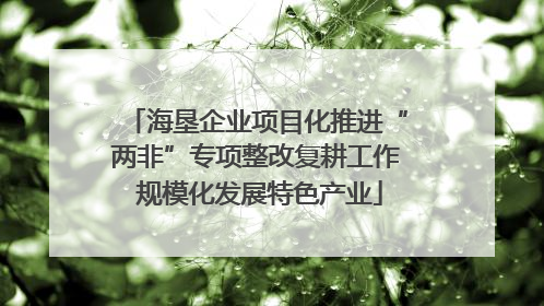 海垦企业项目化推进“两非”专项整改复耕工作 规模化发展特色产业