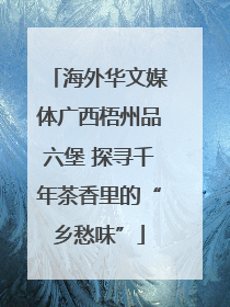 海外华文媒体广西梧州品六堡 探寻千年茶香里的“乡愁味”