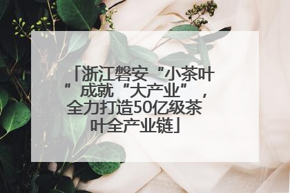 浙江磐安“小茶叶”成就“大产业”，全力打造50亿级茶叶全产业链