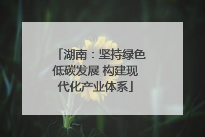 湖南：坚持绿色低碳发展 构建现代化产业体系