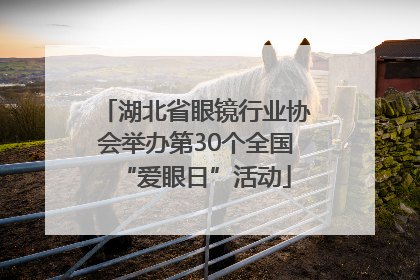 湖北省眼镜行业协会举办第30个全国“爱眼日”活动