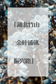 湖北竹山：金叶铺就振兴路