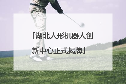 湖北人形机器人创新中心正式揭牌