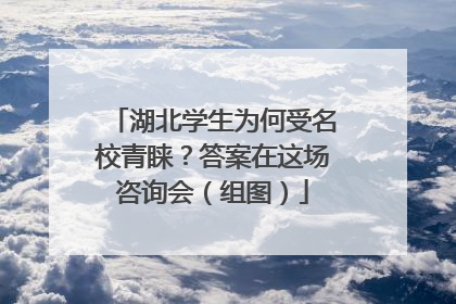湖北学生为何受名校青睐？答案在这场咨询会（组图）