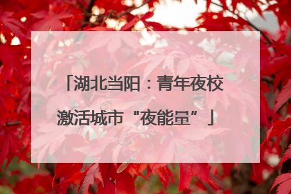 湖北当阳：青年夜校激活城市“夜能量”