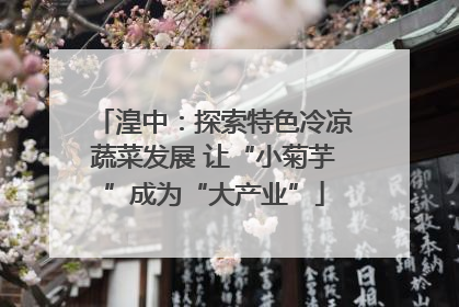 湟中：探索特色冷凉蔬菜发展 让“小菊芋”成为“大产业”