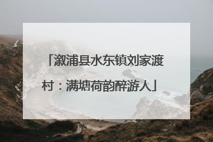 溆浦县水东镇刘家渡村：满塘荷韵醉游人