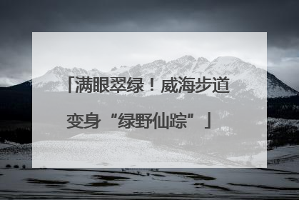 满眼翠绿！威海步道变身“绿野仙踪”