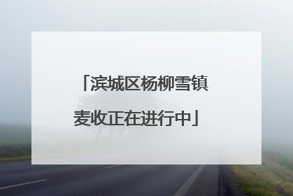 滨城区杨柳雪镇麦收正在进行中