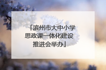 滨州市大中小学思政课一体化建设推进会举办
