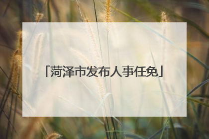 菏泽市发布人事任免